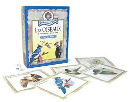 Prof Caboche Oiseaux Amerique Du Nord