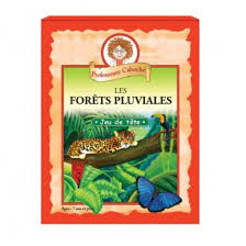 Prof Caboche Les Forêts Pluviales