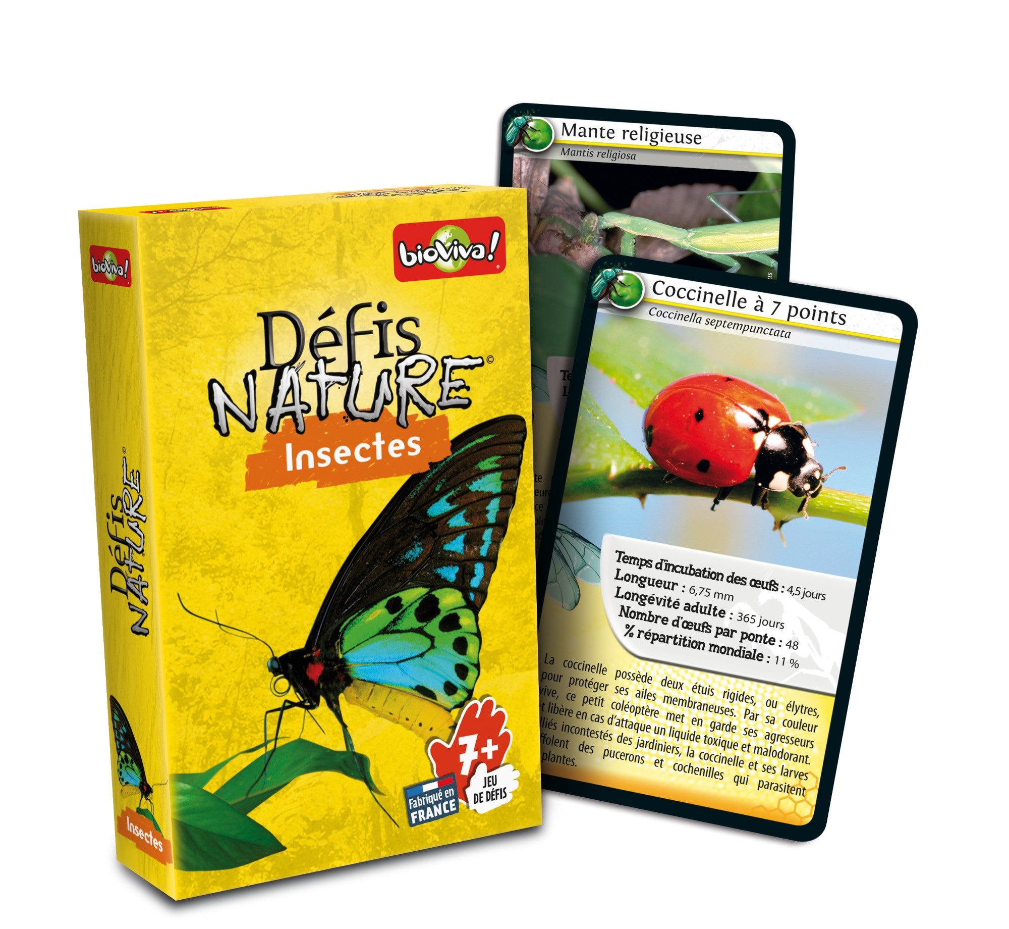 Défis Nature Insectes