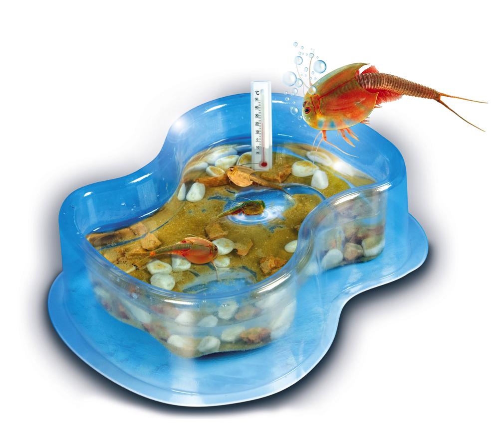 Triops