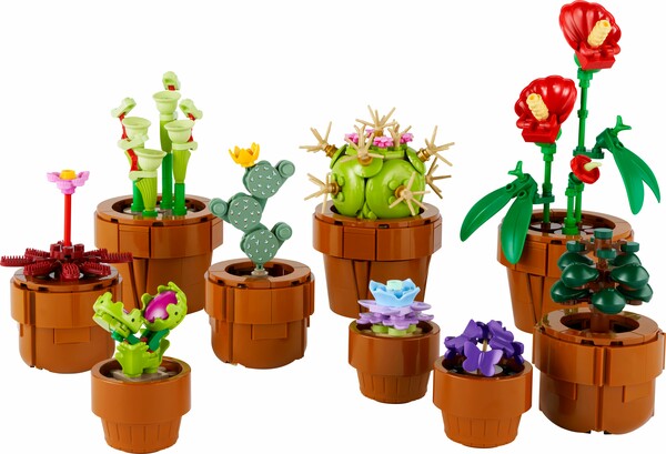 Les petites plantes