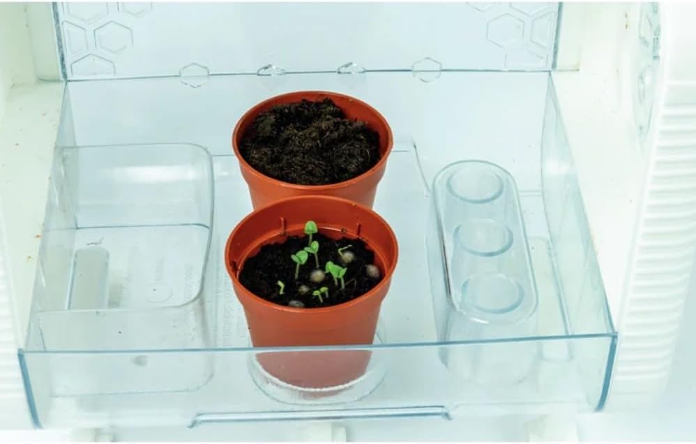 Science & jeu - Ma serre high-tech