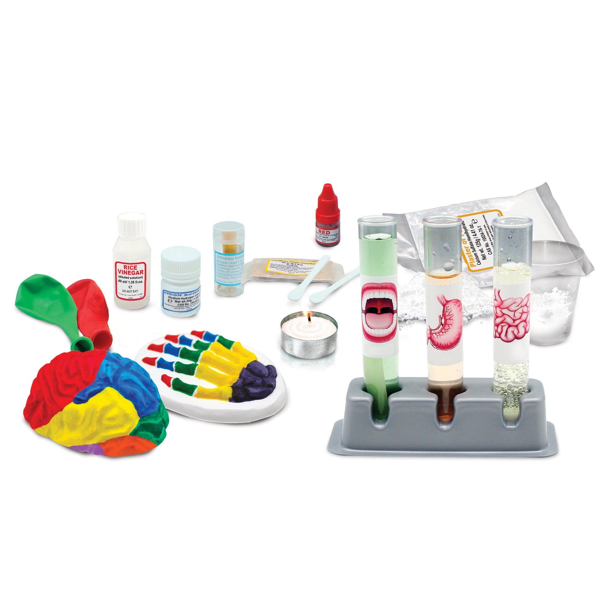 Médecin - Corps humain