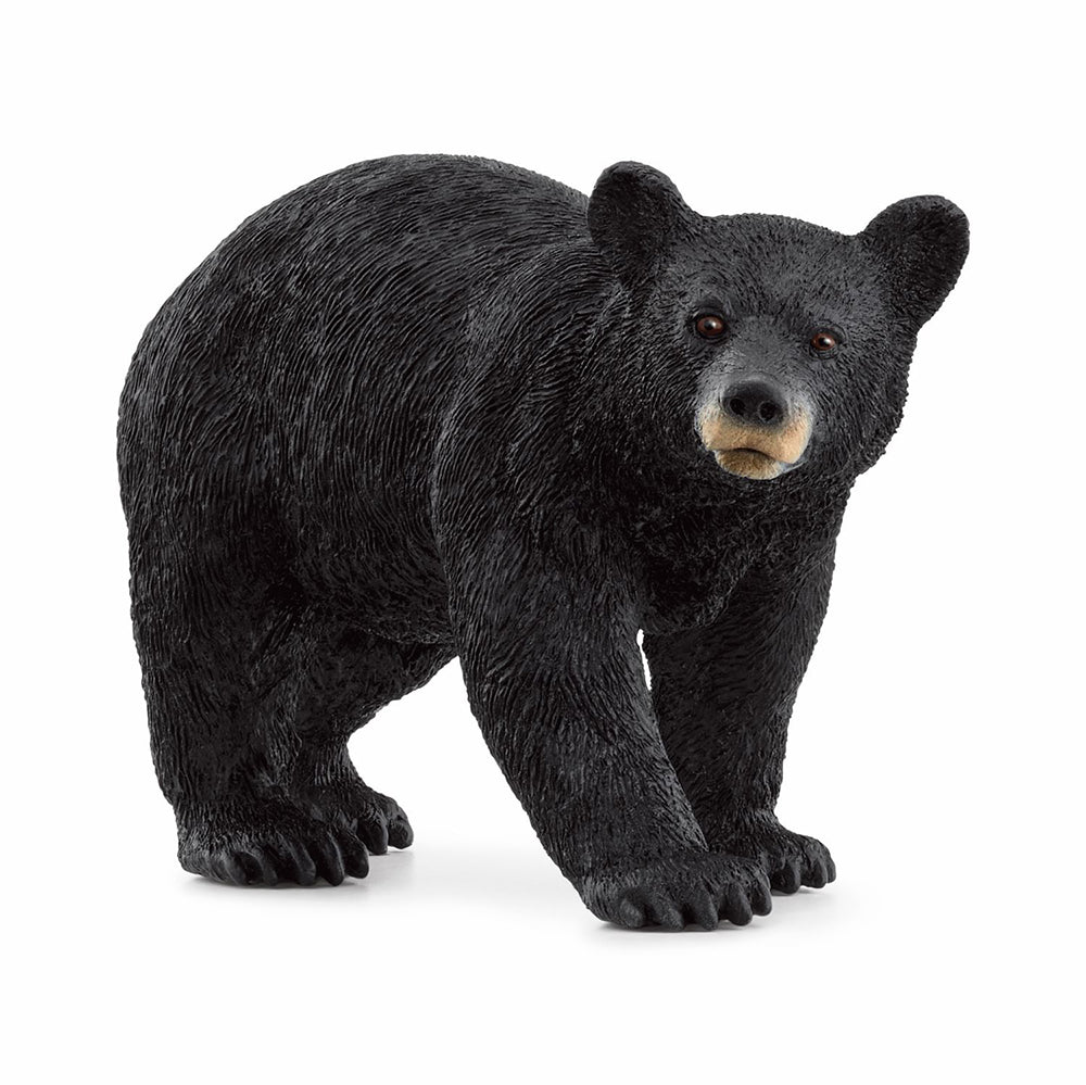 Figurine Ours Noir d'Amérique