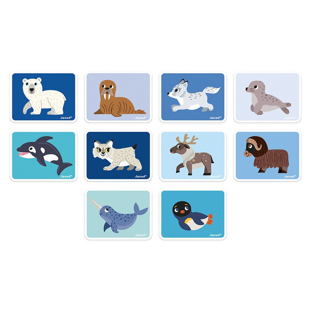 Magnetibook - Animaux Polaire