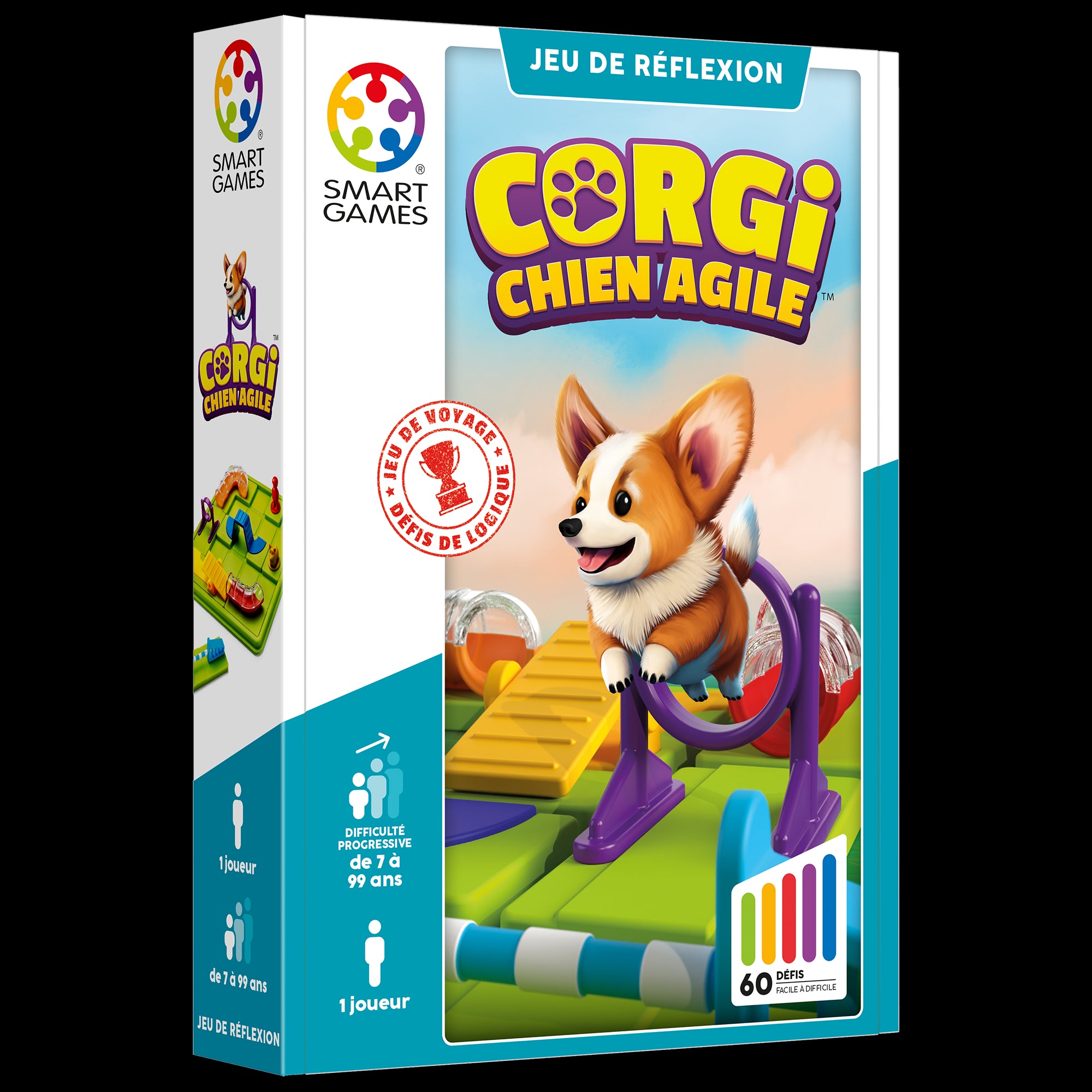 Corgi, chien agile