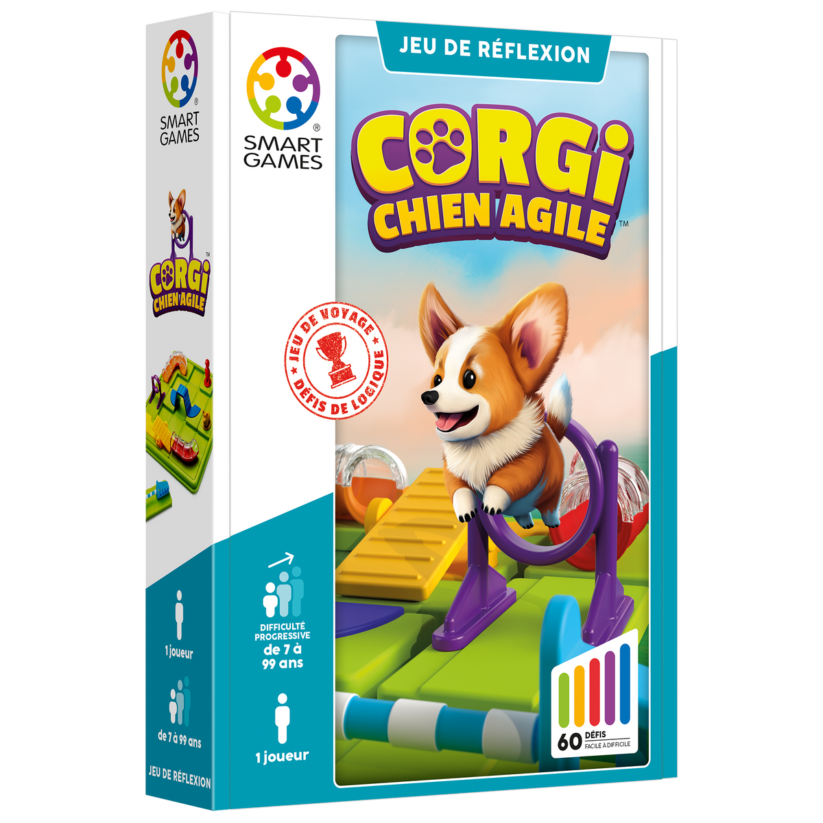 Corgi, chien agile