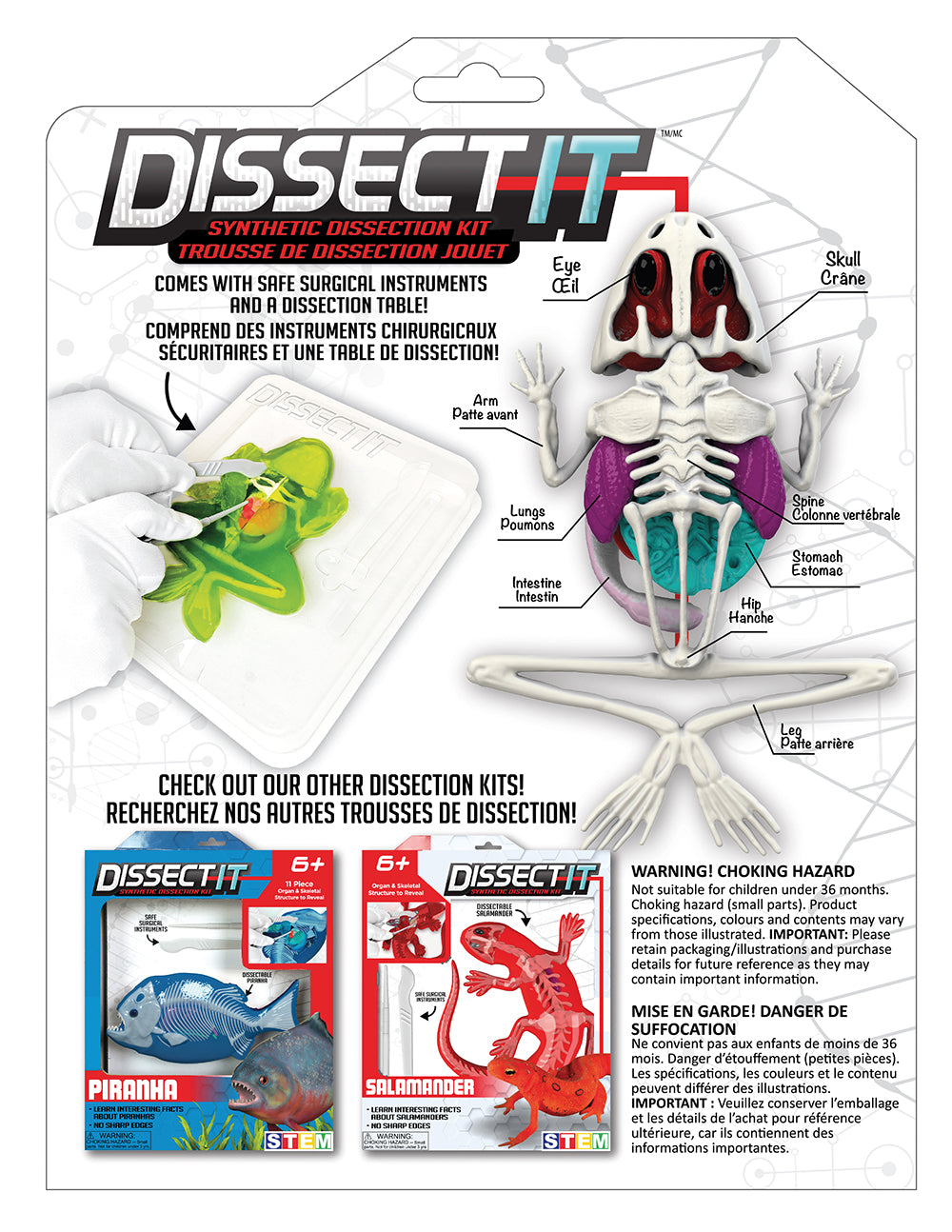 Dissect It - Grenouille au labo