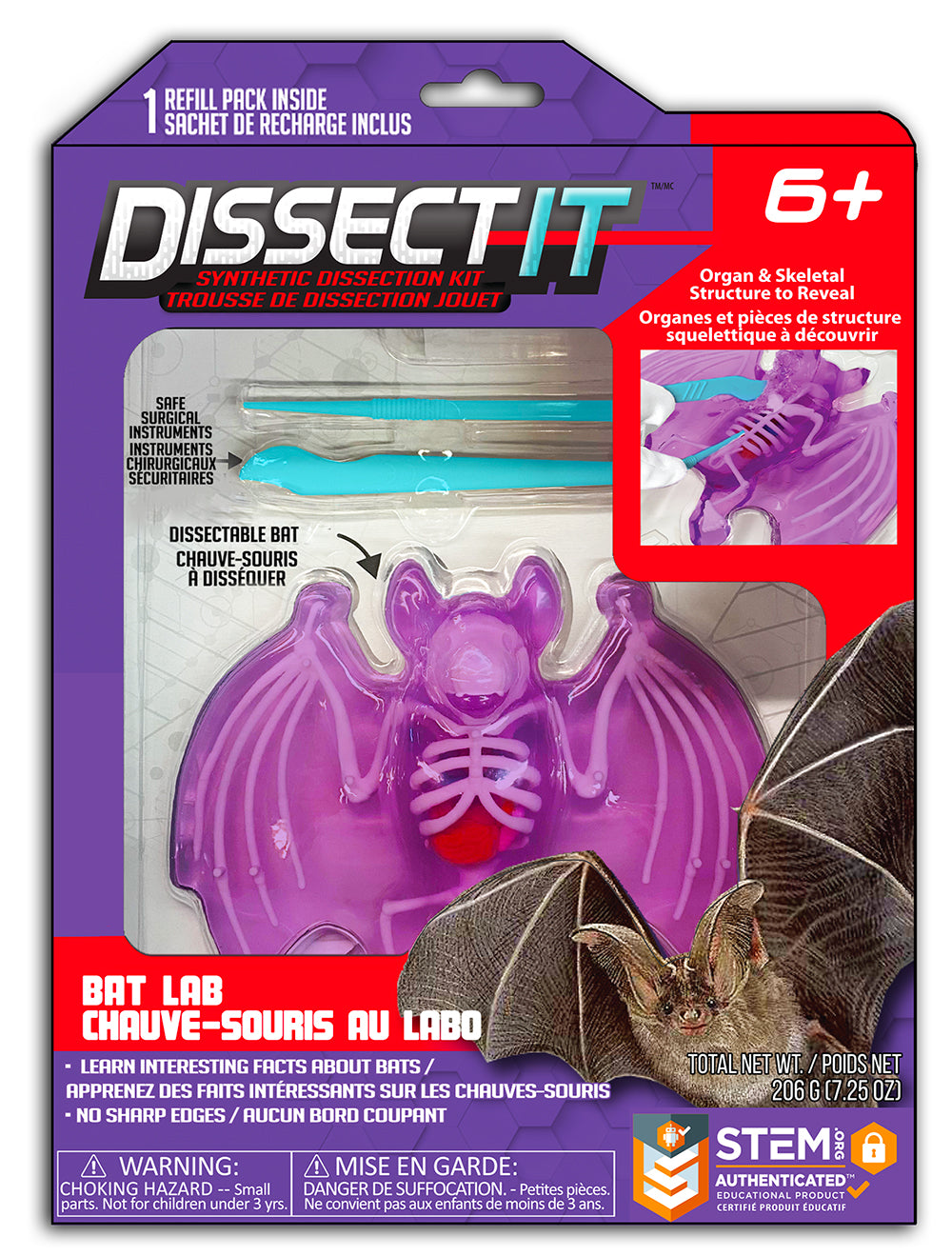 Dissect It - Chauve-souris au labo