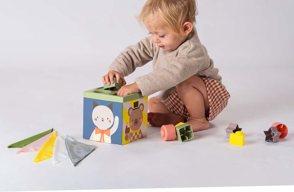 Taf Toys - Cube jeu et découverte