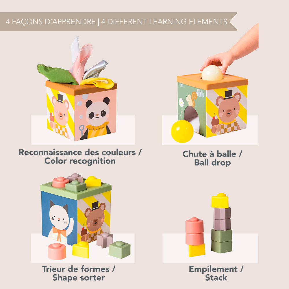 Taf Toys - Cube jeu et découverte