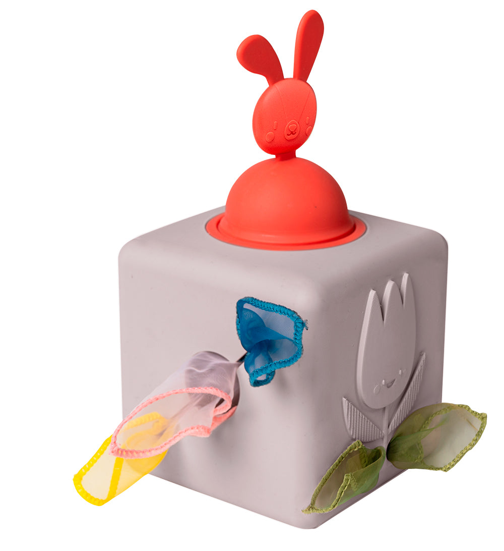 Taf Toys - Boîte à mouchoirs pop-up