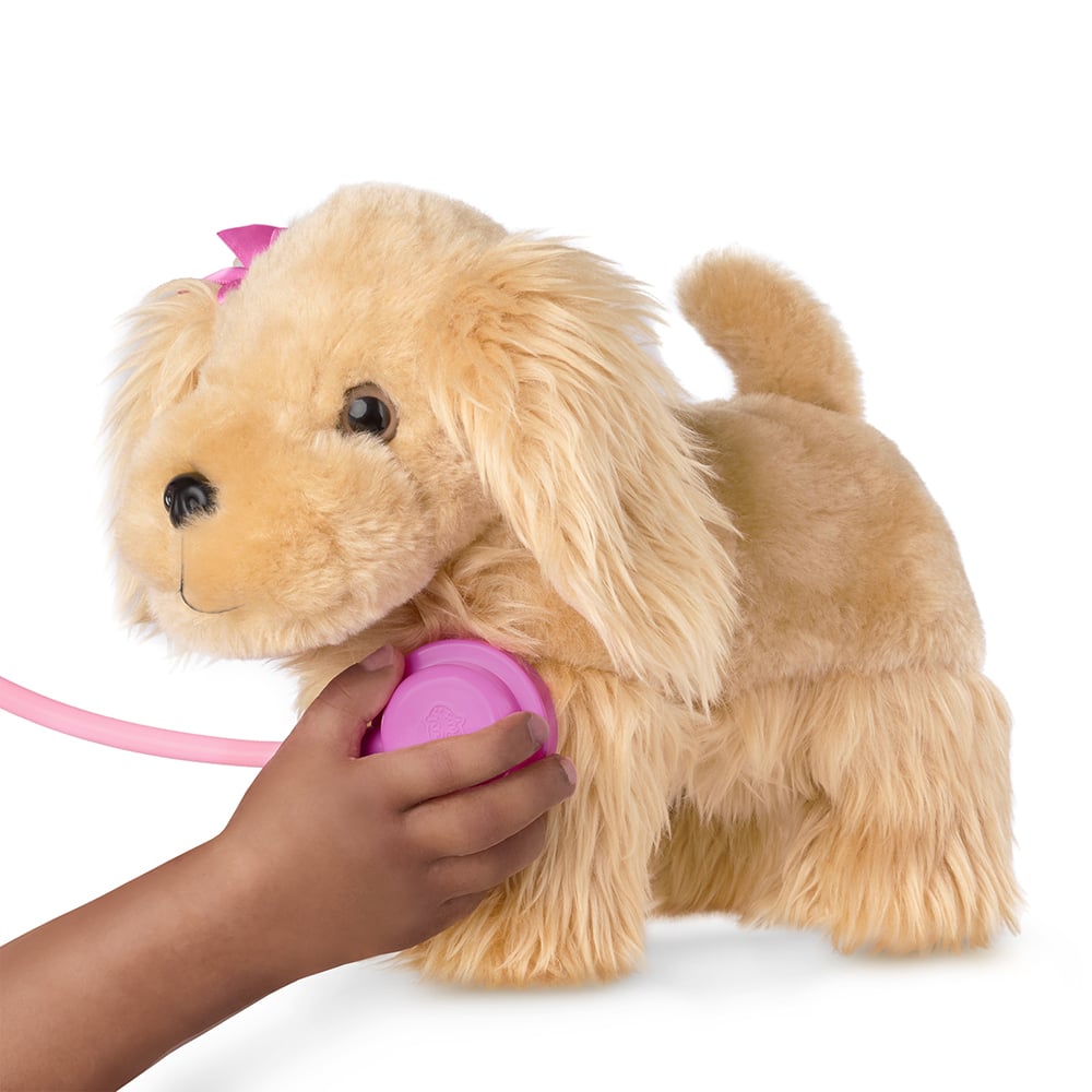 Pucci Pups - Épagneul ensemble vétérinaire