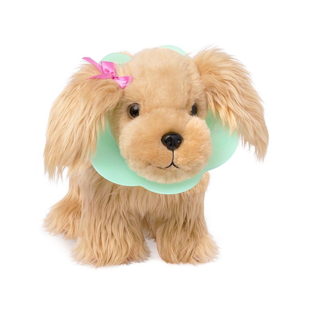 Pucci Pups - Épagneul ensemble vétérinaire