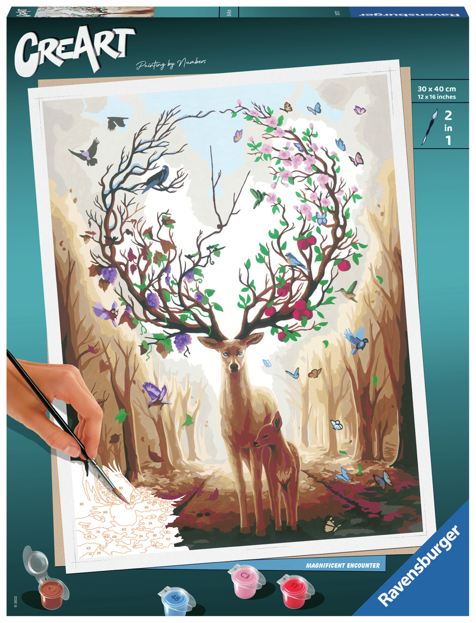 Rencontre magnifique