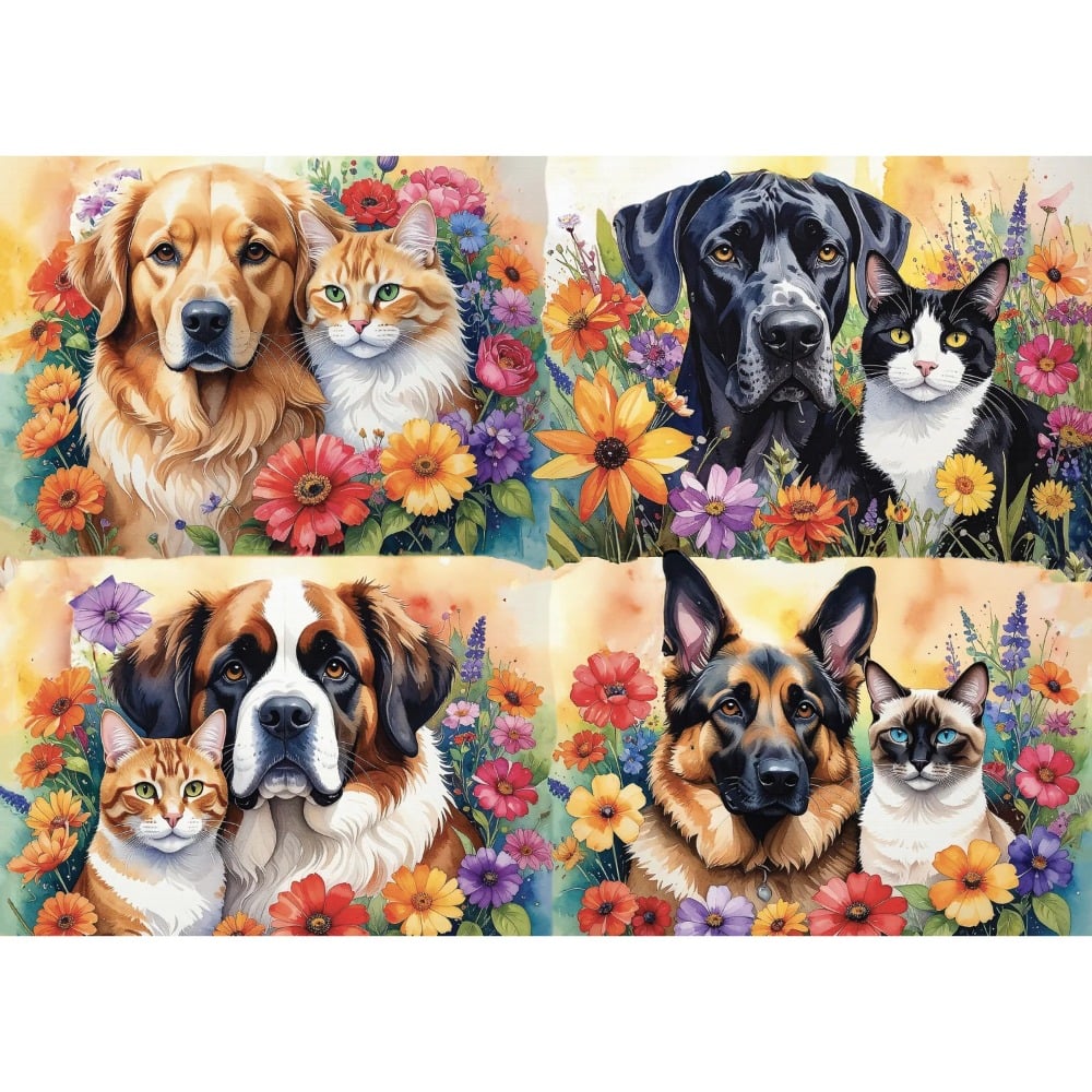 Paw-fect pairs, 1000 pièces