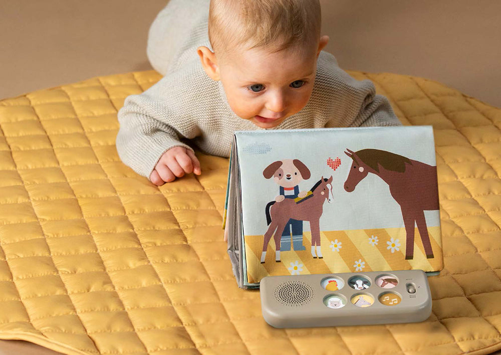 Taf Toys - Livre de sons appaisants