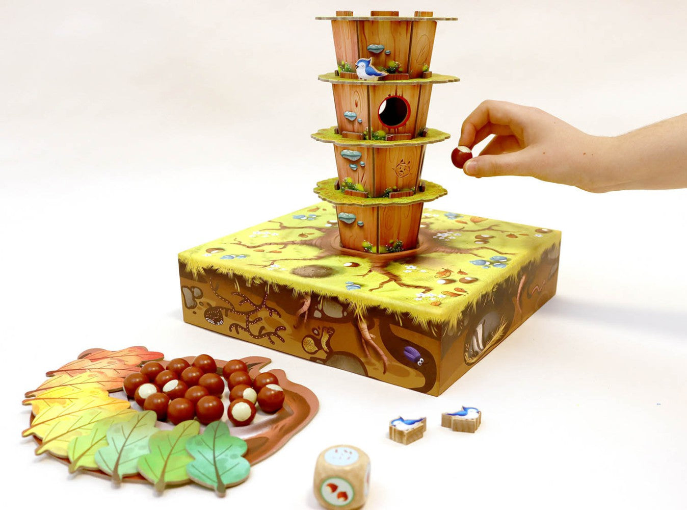 Jeu Opération Noisettes