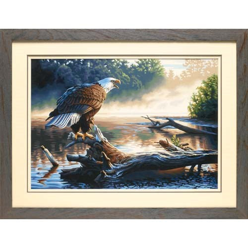 Peinture à numéros - L'Aigle chasseur 20X14''