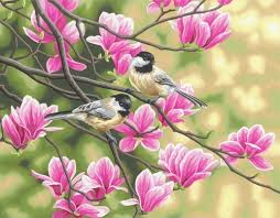Peinture à numéros - Mésanges et Magnolias 14'' X