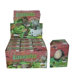Oeuf de lézard à faire éclore