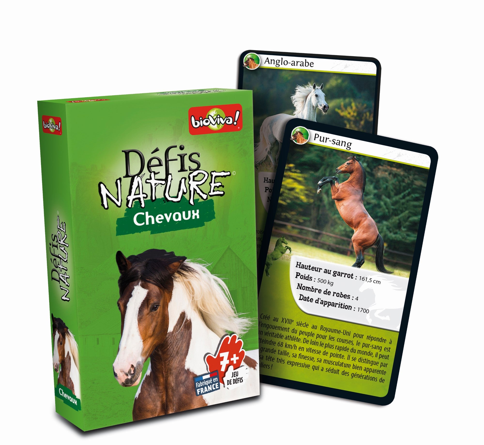 Défis Nature / Chevaux