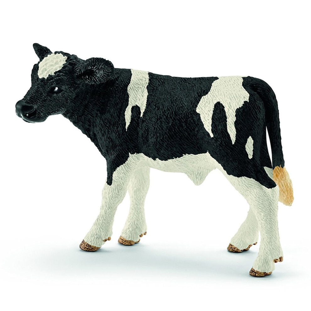 Veau Holstein