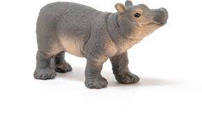 Bébé hippotame