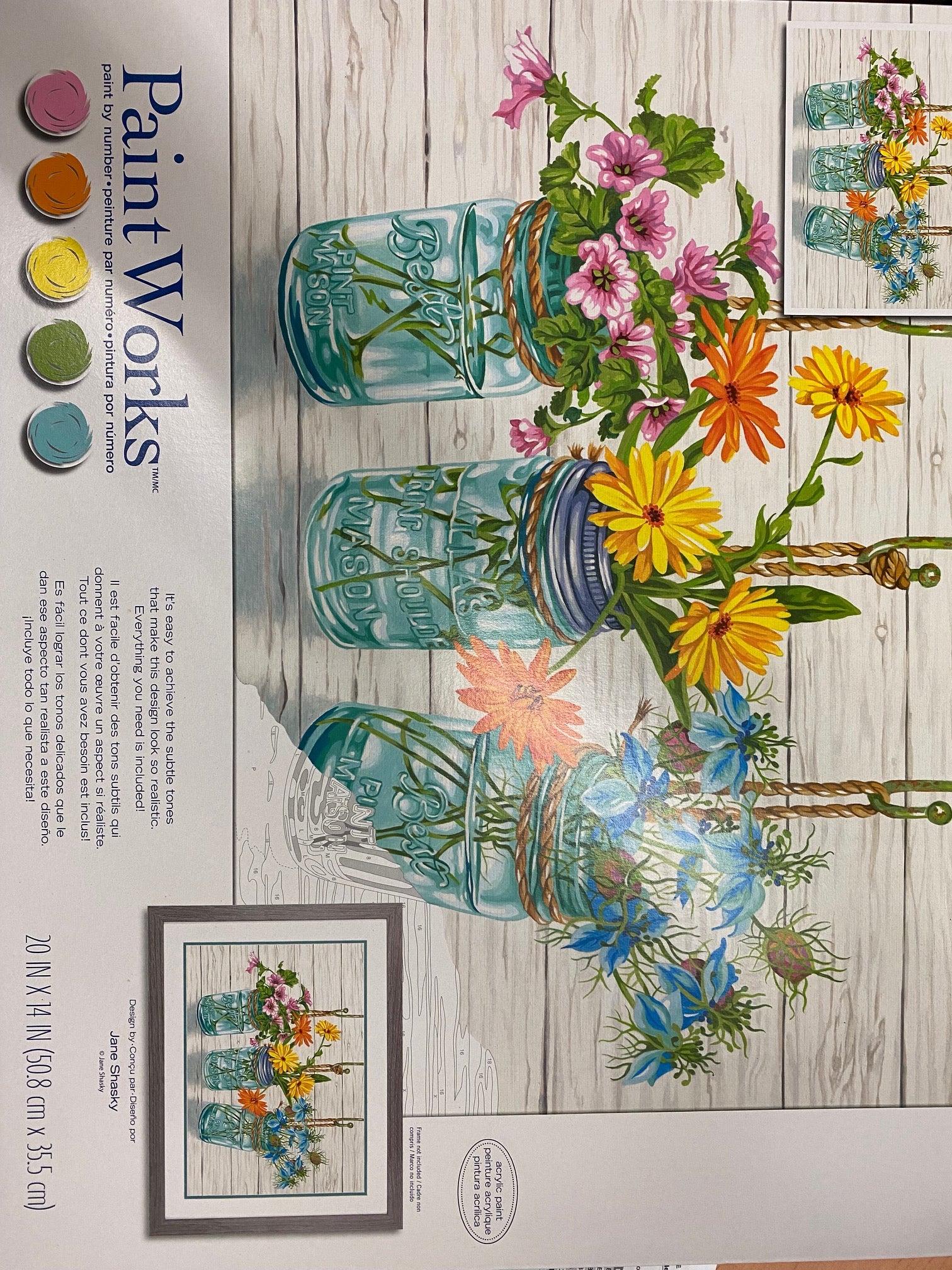 Peinture à numéros : Bocaux de floraison 20X14"