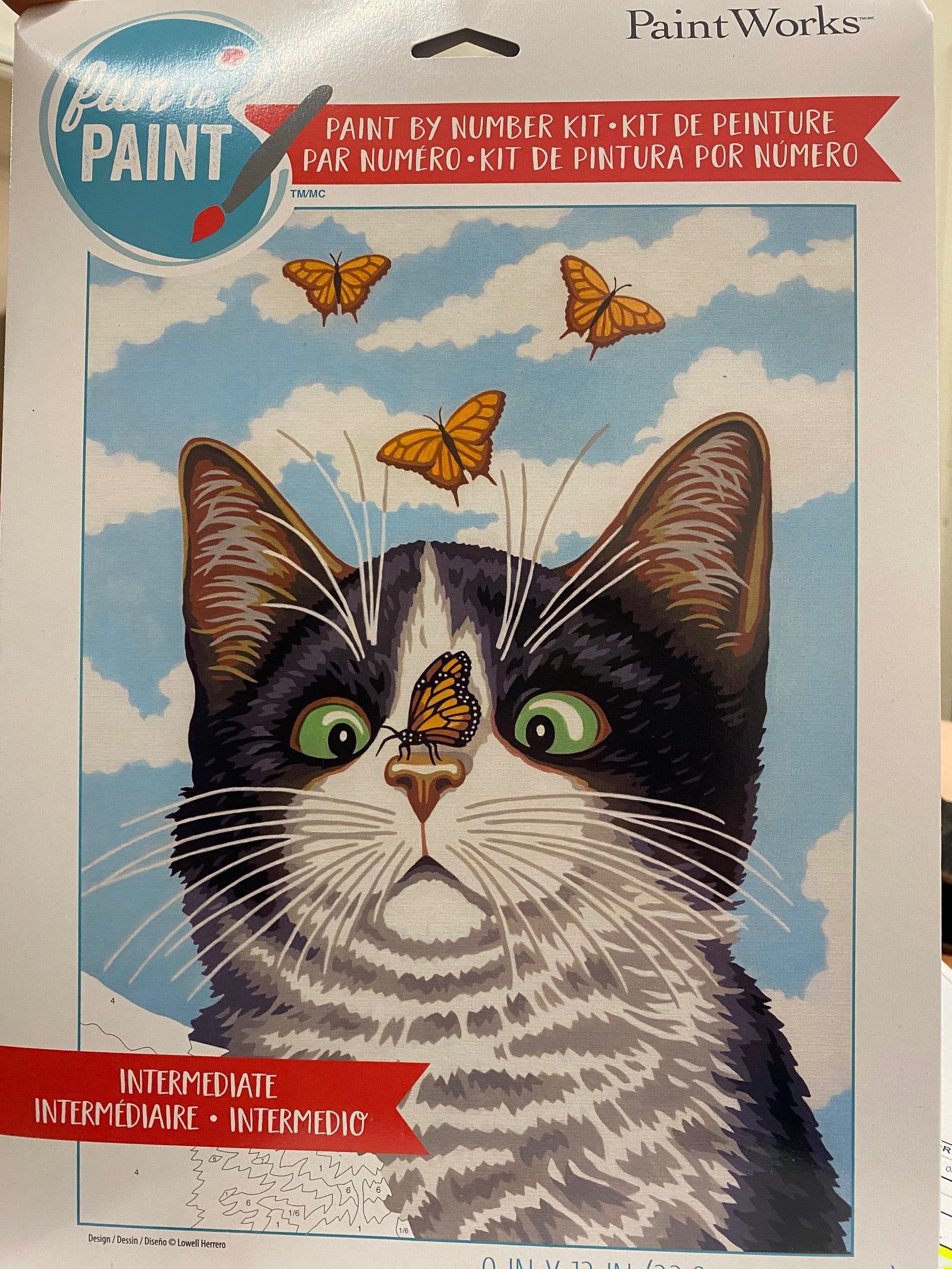 Peinture à numéros : Papillon sur Chat, 9X12"