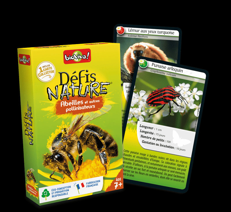 Défis nature Abeilles et autres pollinisateurs