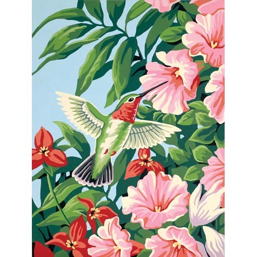 Peinture à numéros - Colibri et fushias