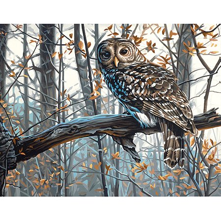 Peinture à numéros - Chouette sage