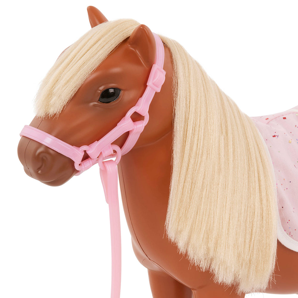 Poney Shetland & accessoires