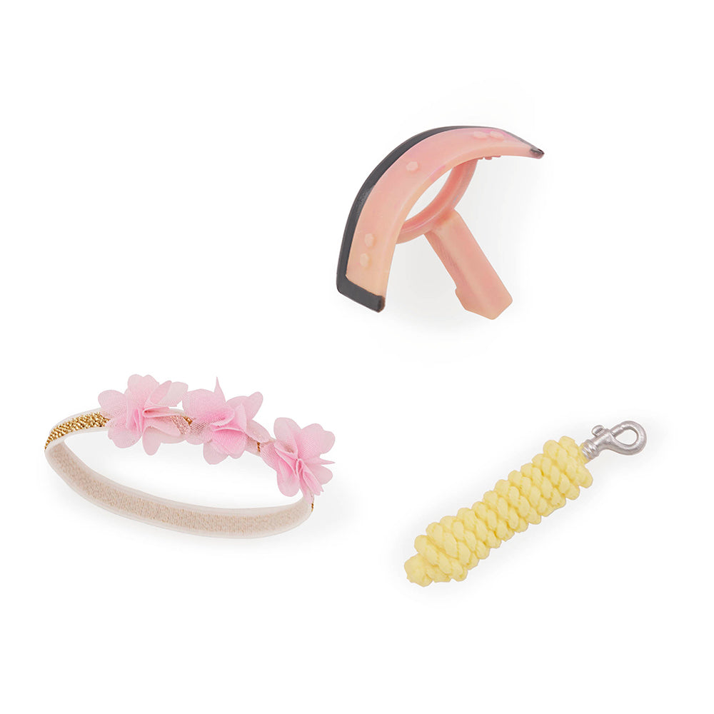 Poney Shetland & accessoires