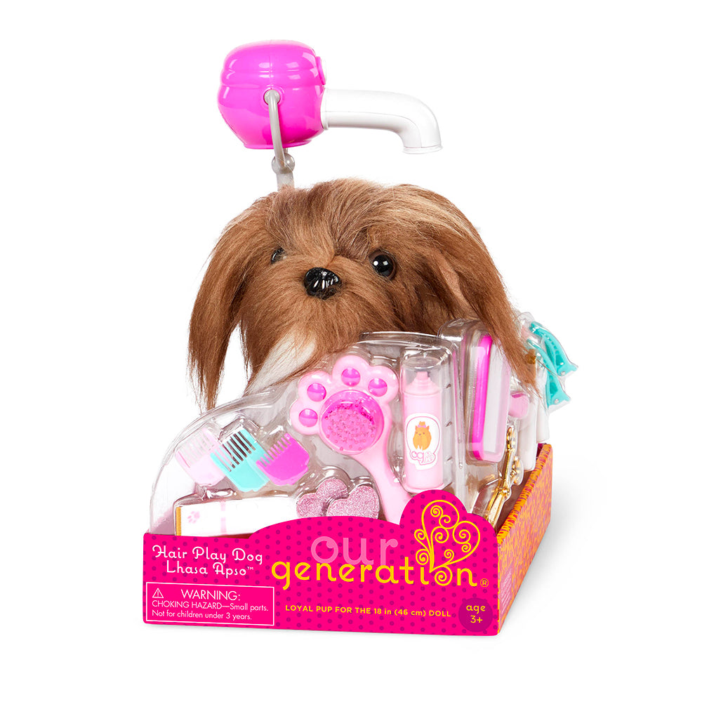 Lhasa Apso à coiffer