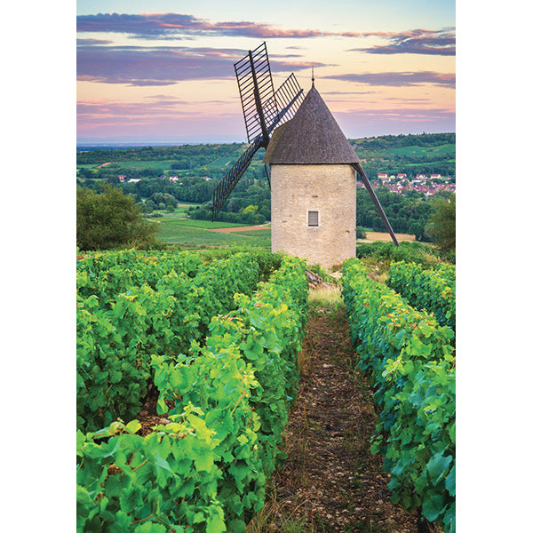 Moulin Sorine du vignoble de Santenay, 1000 pièces