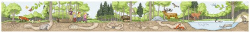Découvrir la forêt