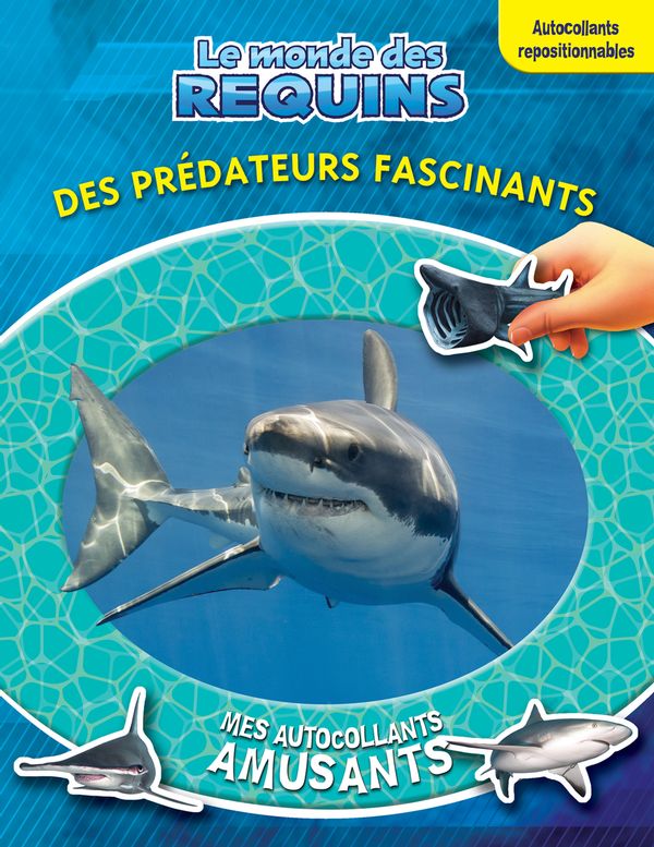 Le monde des requins Des prédateurs fascinants