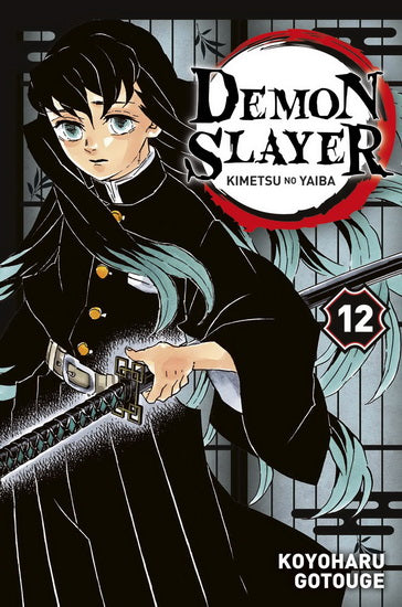 Demon Slayer 12