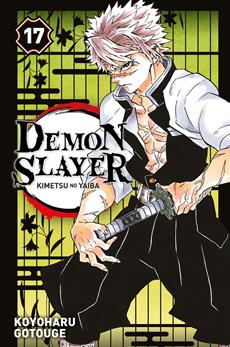 Demon Slayer 17