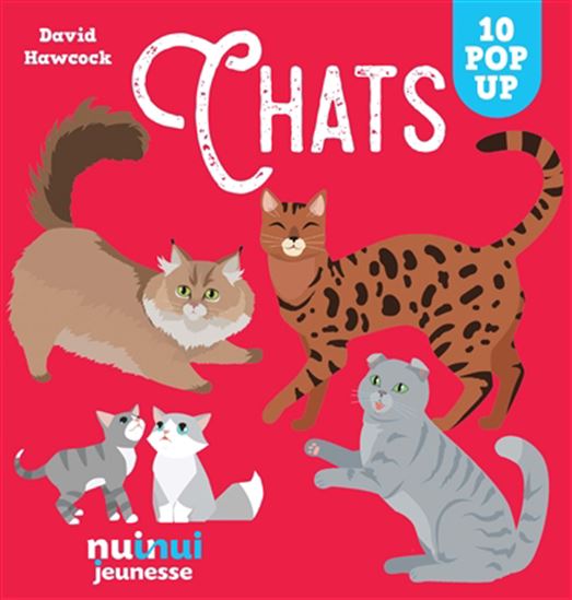 Chats 10 pop up