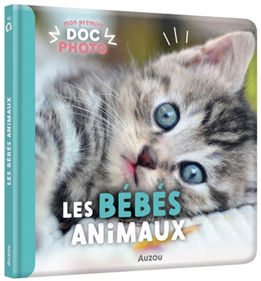 Les bébés animaux Mon premier doc photo