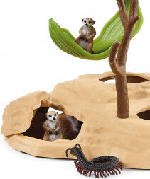 Les suricates
