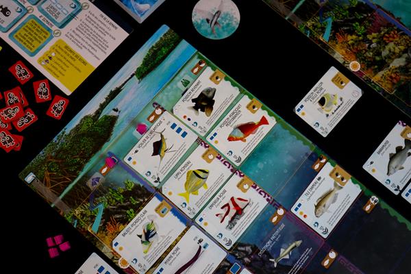 Finspan (Version française)