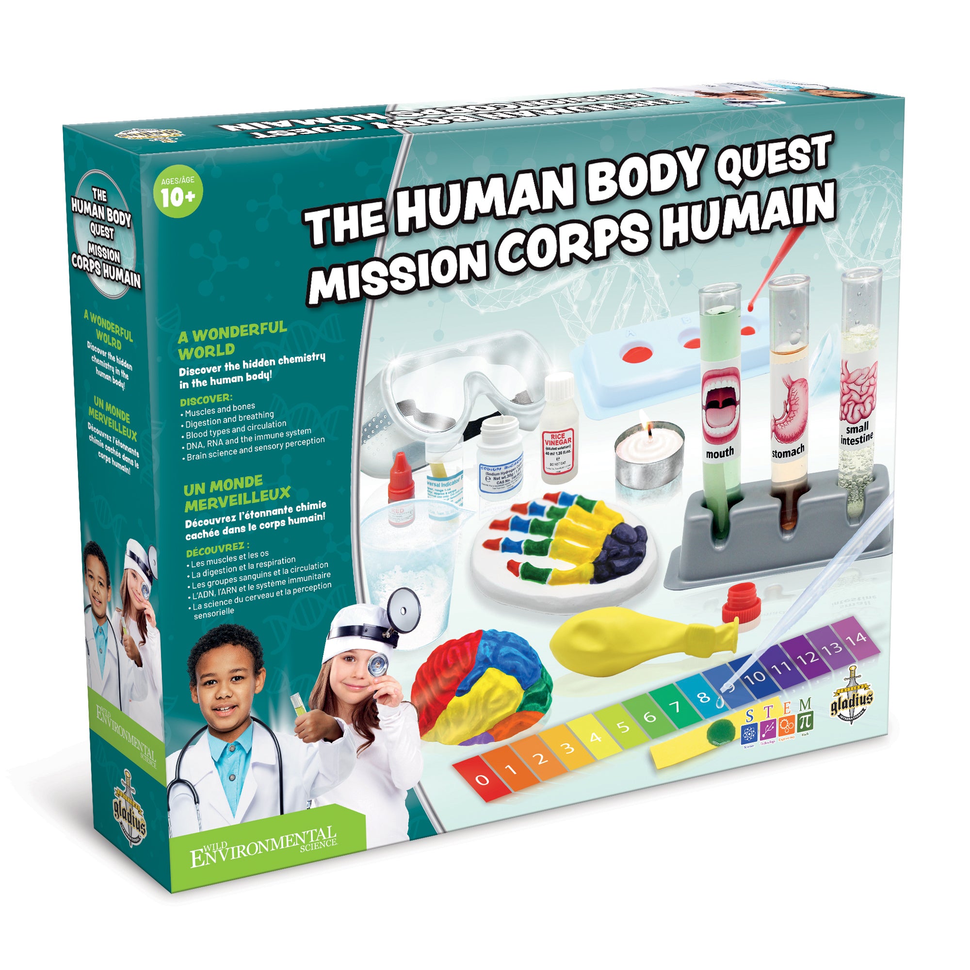 Médecin - Corps humain