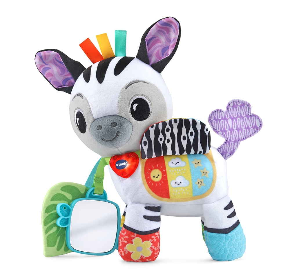 Timéo, little activity zebra