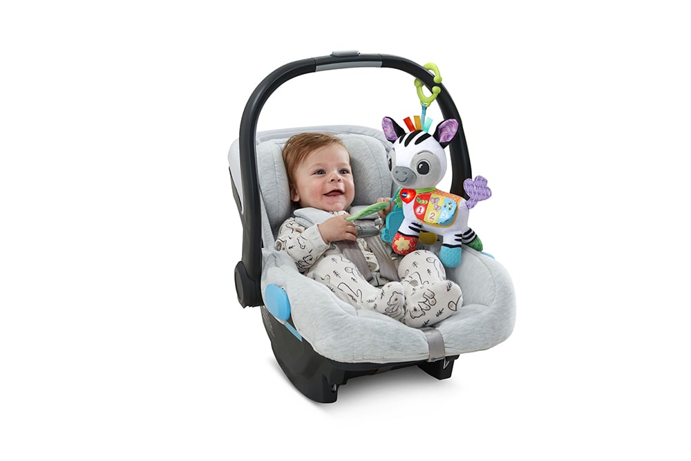 Timéo, little activity zebra