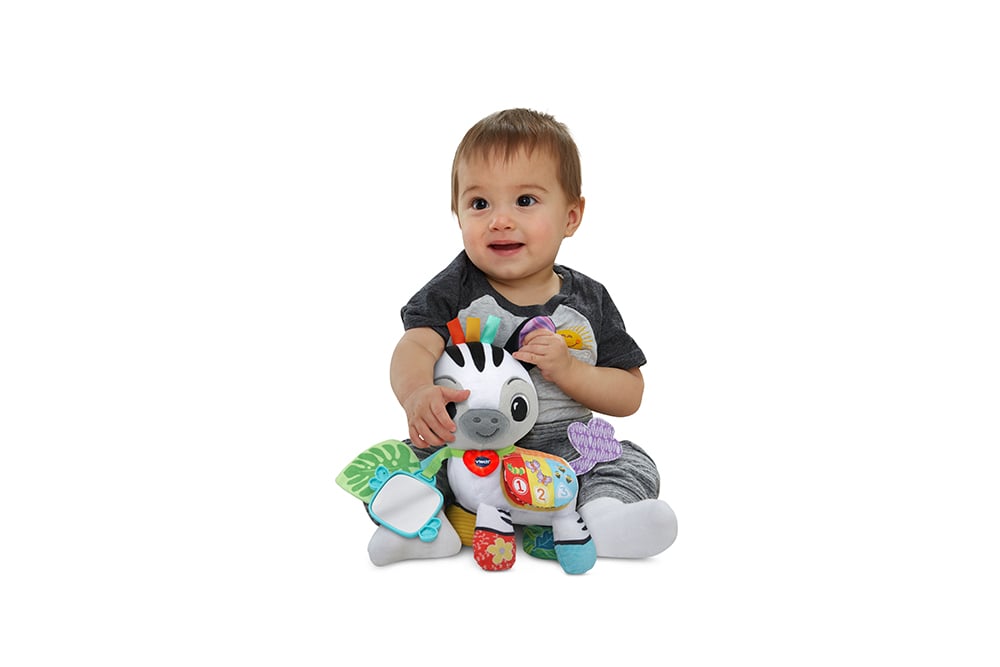 Timéo, little activity zebra