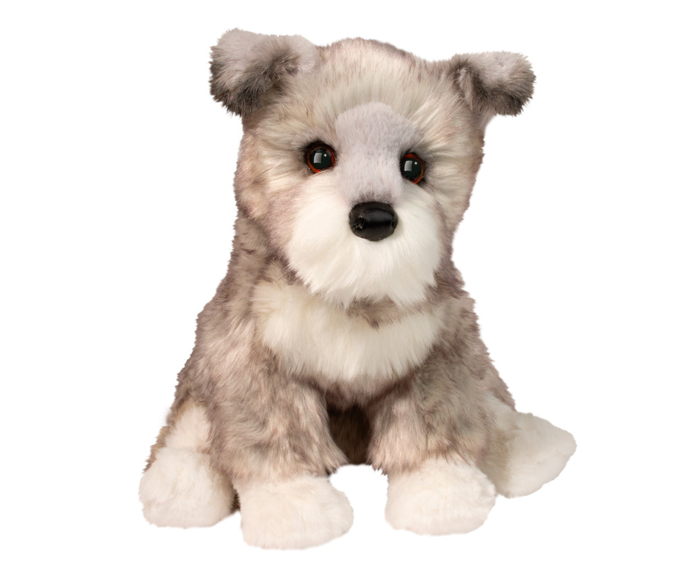 Schnauzer miniature Arnold